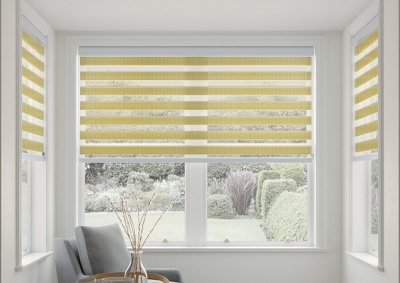 Blinds Day&Night I