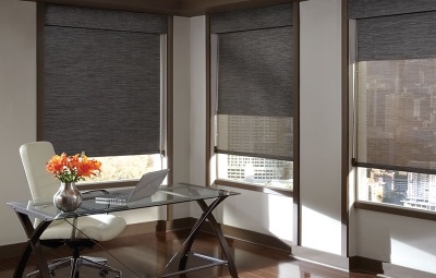 DUO blinds I